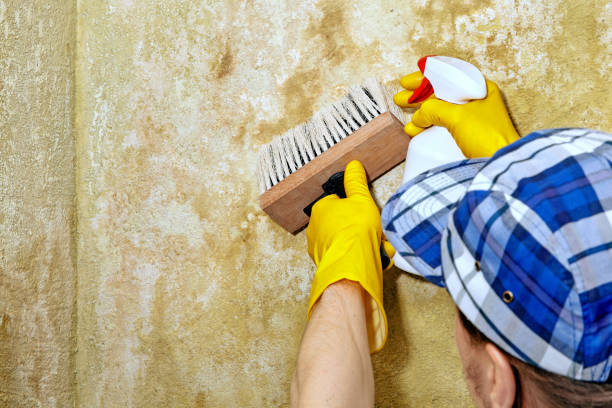Best Mold Odor Removal Services  in Bladenboro, NC
